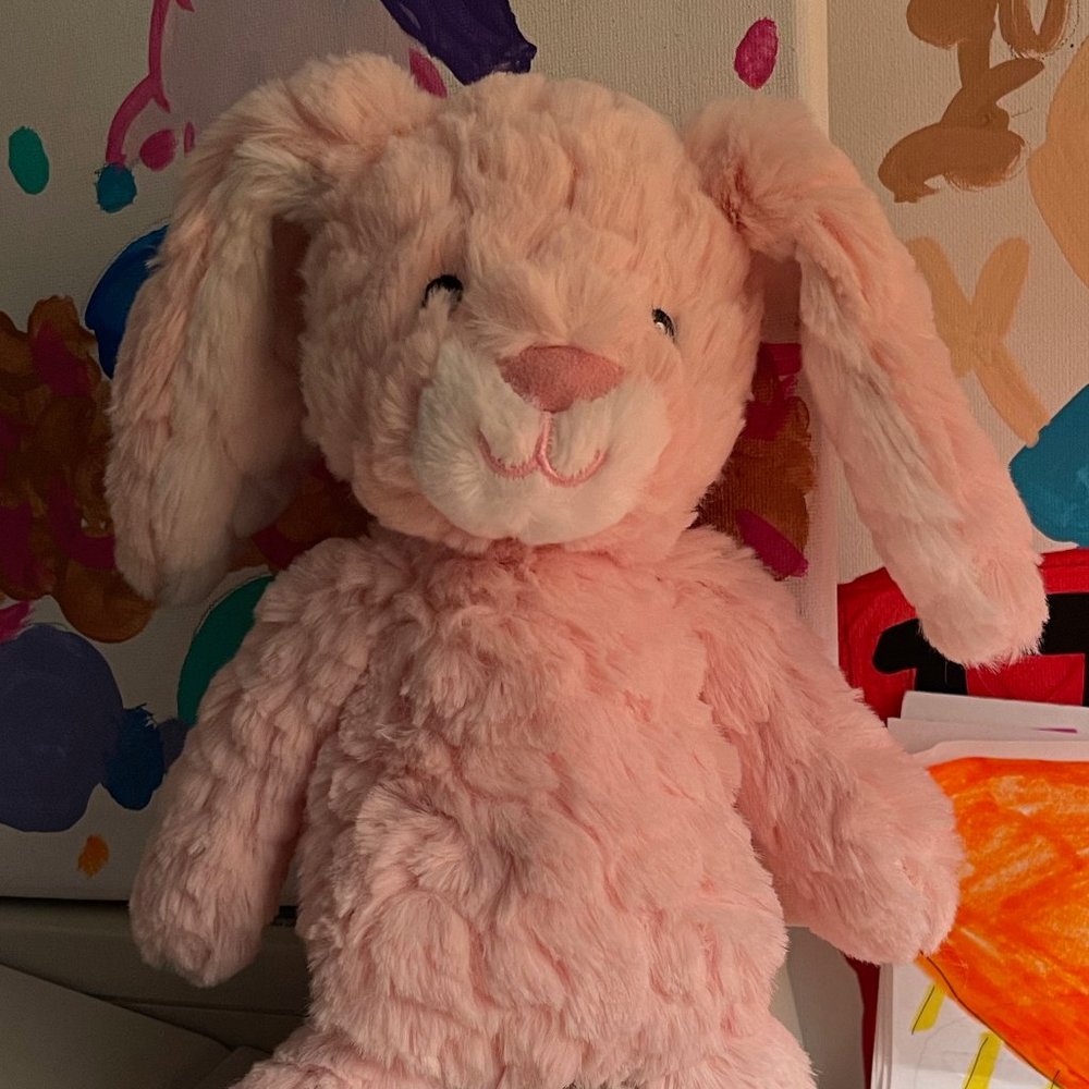 stuffed bunny
